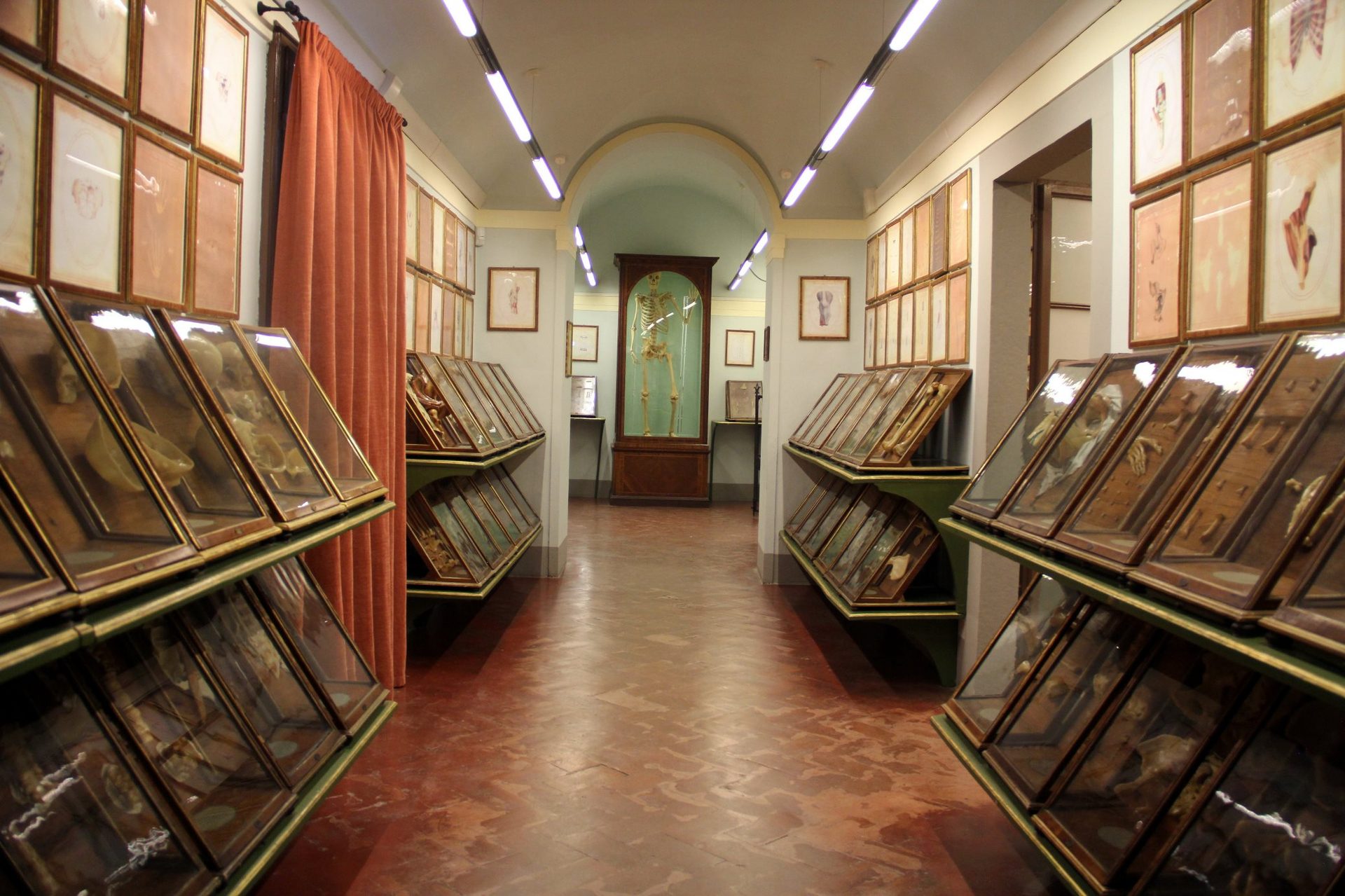 La Specola, The Natural History Museum of the University of Florence (2).JPG